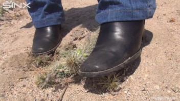 Denim Clad Babe Tramples On Cactus In The Desert Screencap 18 on www.sinx.com