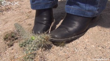 Denim Clad Babe Tramples On Cactus In The Desert Screencap 19 on www.sinx.com
