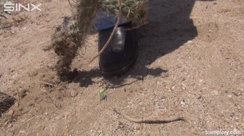 Denim Clad Babe Tramples On Cactus In The Desert Screencap 20 on www.sinx.com