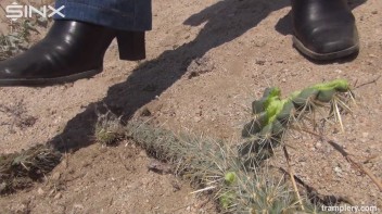 Denim Clad Babe Tramples On Cactus In The Desert Screencap 21 on www.sinx.com