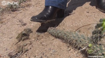 Denim Clad Babe Tramples On Cactus In The Desert Screencap 22 on www.sinx.com