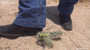 Denim Clad Babe Tramples On Cactus In The Desert Screencap 25 on www.sinx.com