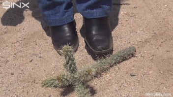 Denim Clad Babe Tramples On Cactus In The Desert Screencap 3 on www.sinx.com