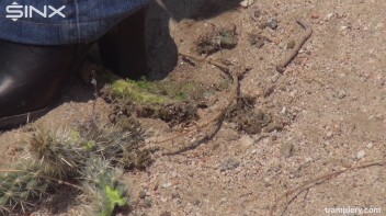 Denim Clad Babe Tramples On Cactus In The Desert Screencap 32 on www.sinx.com