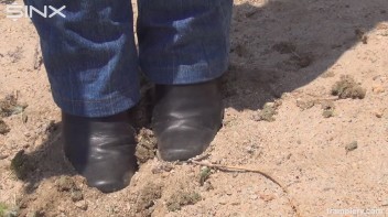 Denim Clad Babe Tramples On Cactus In The Desert Screencap 39 on www.sinx.com
