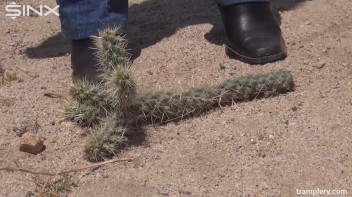 Denim Clad Babe Tramples On Cactus In The Desert Screencap 4 on www.sinx.com