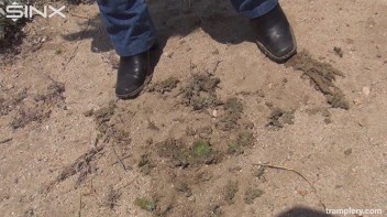 Denim Clad Babe Tramples On Cactus In The Desert Screencap 42 on www.sinx.com