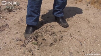 Denim Clad Babe Tramples On Cactus In The Desert Screencap 49 on www.sinx.com