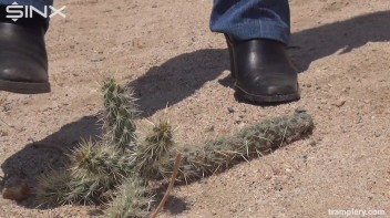 Denim Clad Babe Tramples On Cactus In The Desert Screencap 5 on www.sinx.com