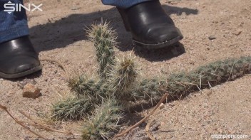 Denim Clad Babe Tramples On Cactus In The Desert Screencap 6 on www.sinx.com