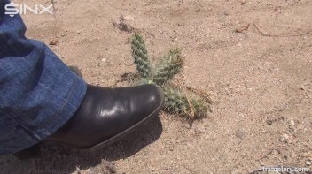 Denim Clad Babe Tramples On Cactus In The Desert Screencap 8 on www.sinx.com