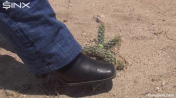 Denim Clad Babe Tramples On Cactus In The Desert Screencap 9 on www.sinx.com