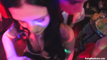 Party Hardcore Gone Crazy Vol. 35 Part 8 - Main Edit Screencap 4 on www.sinx.com