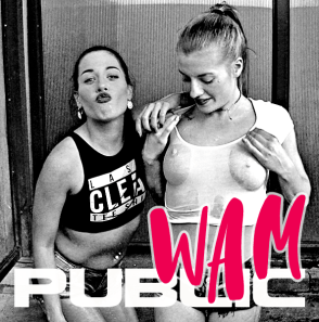 Public Wam