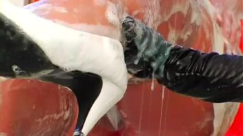 Lesbian Laundromat Screencap 80 on www.sinx.com