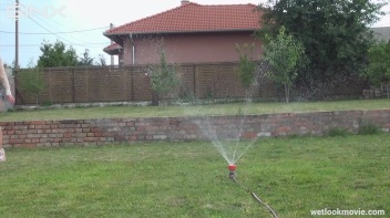Brunette's Very Wet Sprinkler Frolic Screencap 14 on www.sinx.com