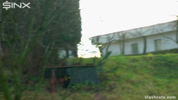 Sexy Babes Rip Clothes in Heated Catfight - Cam 1 Screencap 23 on www.sinx.com