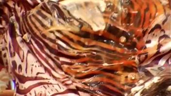 Hot Slut Sundae Screencap 109 on www.sinx.com