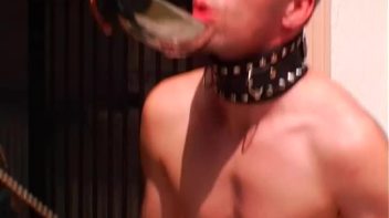 Dog Training with Gina Screencap 44 on www.sinx.com