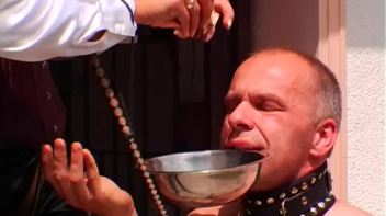 Dog Training with Gina Screencap 45 on www.sinx.com