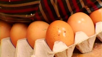 Egg War! Screencap 101 on www.sinx.com