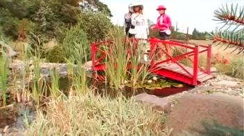 Gina's Unfortunate Series of Events Screencap 6 on www.sinx.com