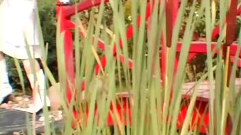 Gina's Unfortunate Series of Events Screencap 8 on www.sinx.com