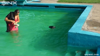 Waterpark Fun For Fully Clothed Brunette Babe Screencap 36 on www.sinx.com
