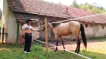 Trainer Breaks In Her Man Horse Screencap 1 on www.sinx.com