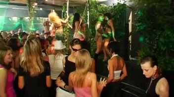 Jungle Bangers Part 1 - Cam 2 Screencap 8 on www.sinx.com