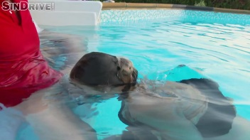 Dip In The Pool For Some Dick!  Freaky Foursome Gets Wet and Messy! Screencap 62 on www.sinx.com