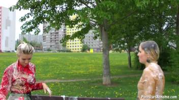 Drinks In The Park Lead To Mess Disaster Screencap 58 on www.sinx.com