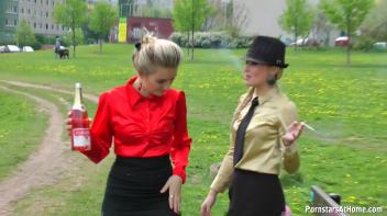 Drinks In The Park Lead To Mess Disaster Screencap 12 on www.sinx.com