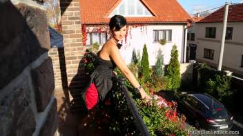 Dressed For Sex Screencap 1 on www.sinx.com