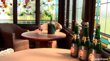 Who Needs Champagne Glasses, Anyway? Screencap 3 on www.sinx.com