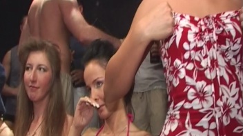 Brazen Bikini Babes - Part 2 Cam 1 Screencap 74 on www.sinx.com