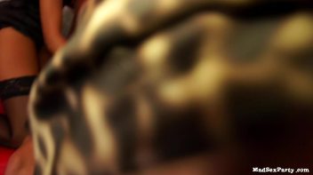 Denis Dicks Up Five Amazing Eurobabes Screencap 62 on www.sinx.com