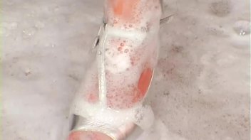 Bike Wash Beauties Screencap 114 on www.sinx.com