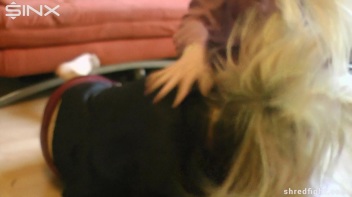 Hot Blondes' Clothes Ripping Catfight - Cam 1 Screencap 15 on www.sinx.com