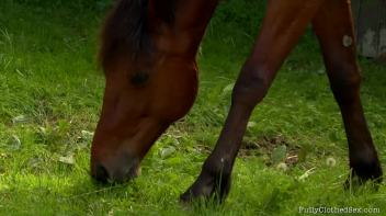 Housemaids Come First Screencap 10 on www.sinx.com