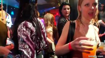 Swingers Ball Part 5 - Cam 2 Screencap 7 on www.sinx.com