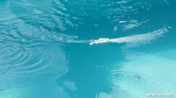 Wetlook Surprises Are So Punk Rock Screencap 27 on www.sinx.com