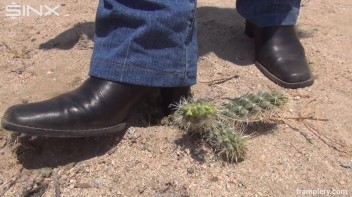 Denim Clad Babe Tramples On Cactus In The Desert Screencap 28 on www.sinx.com