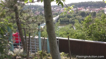 Satin Clad Blonde Takes Piss Showers During Outdoor Foursome Frenzy Screencap 14 on www.sinx.com