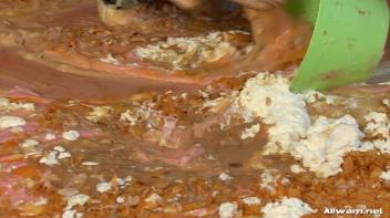 Eggy Snatch Screencap 119 on www.sinx.com