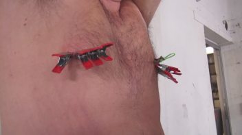 Ohrfeigen für die Sklavensau Screencap 45 on www.sinx.com