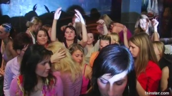 Pimp Awards Part 2 - Cam 2 Screencap 4 on www.sinx.com