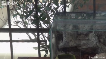 Smoking Mistress' Cute Cum Play Screencap 1 on www.sinx.com