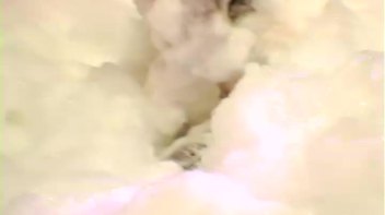 Bangstas Paradise Part 3 - Cam 1 Screencap 49 on www.sinx.com