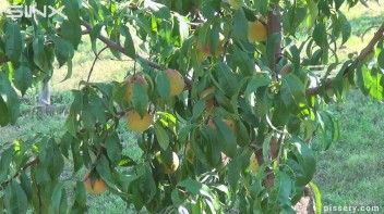 The Princess Of Public Pissing Screencap 1 on www.sinx.com